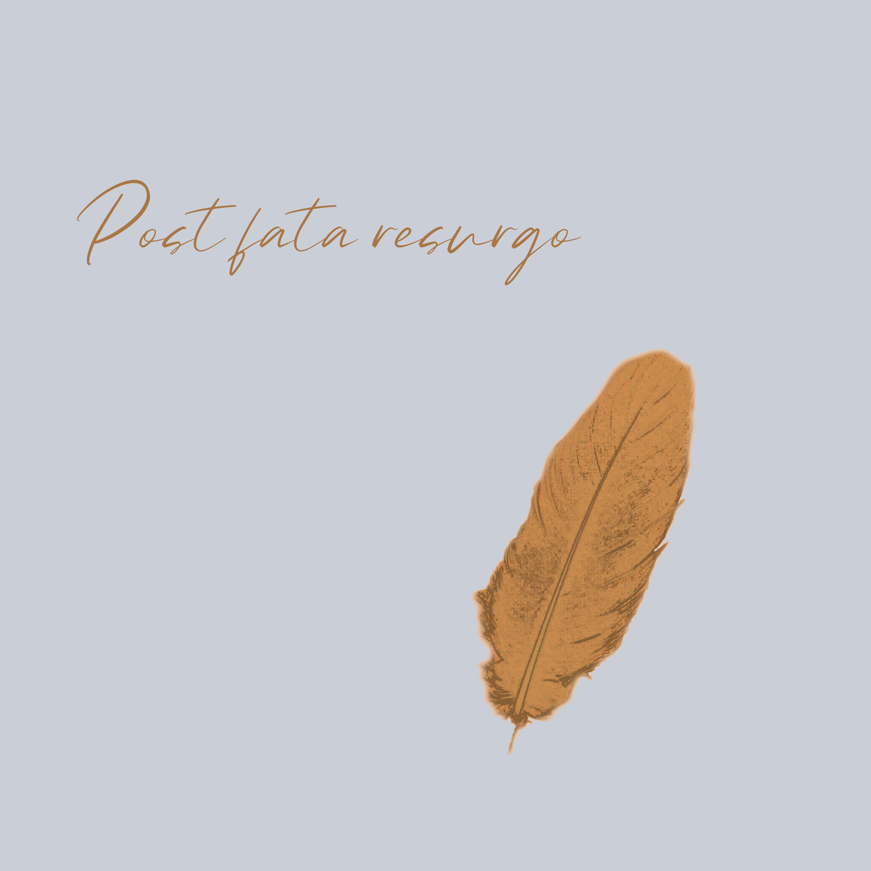 Releases album cover