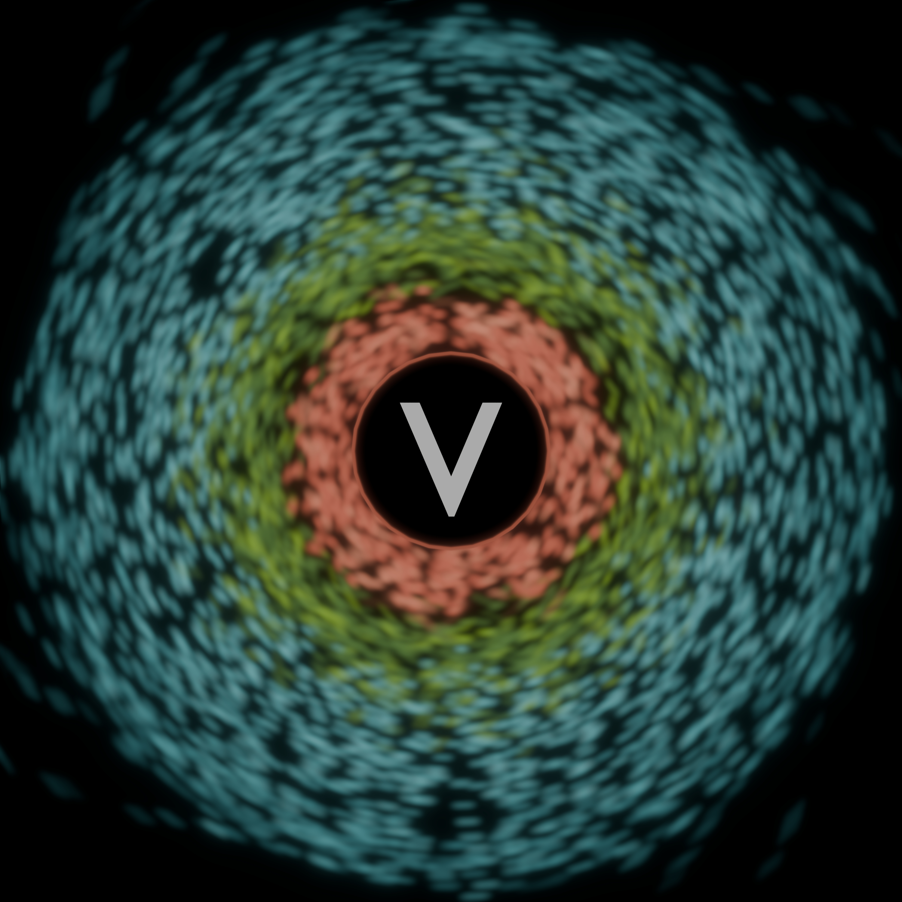 Releases album cover